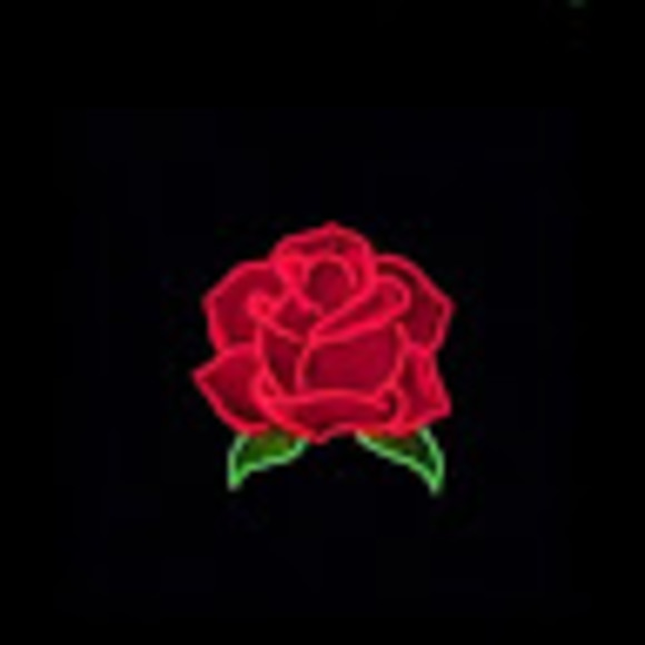 Meet your Posher, Giana - Picture 1 of 1